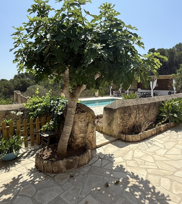 Resa Estates Ibiza koop  finca sale san augustin pool patio.jpeg